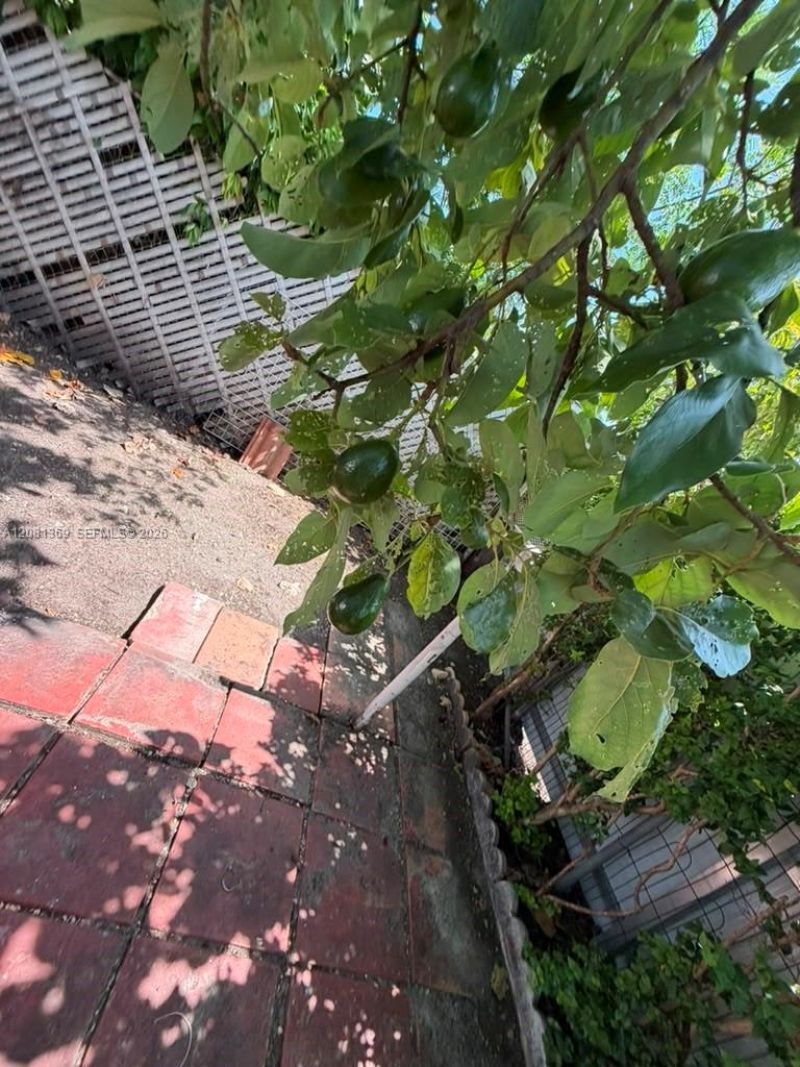 3500 NW 16th Ter , Miami, FL 33125 Photo