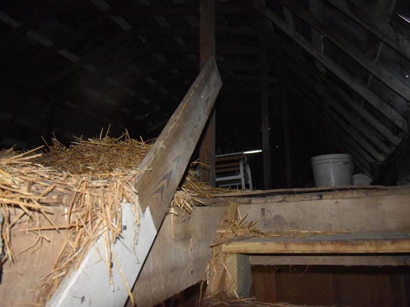 2075 County Road 24, Marengo, OH 43334 Photo 7