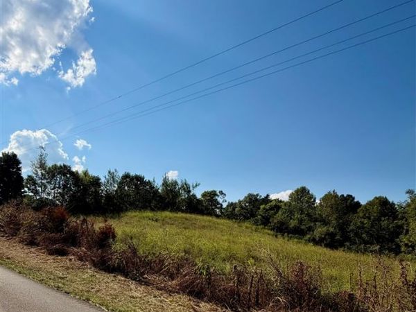 Lot 1 Lick Branch Road , Glasgow, KY 42141