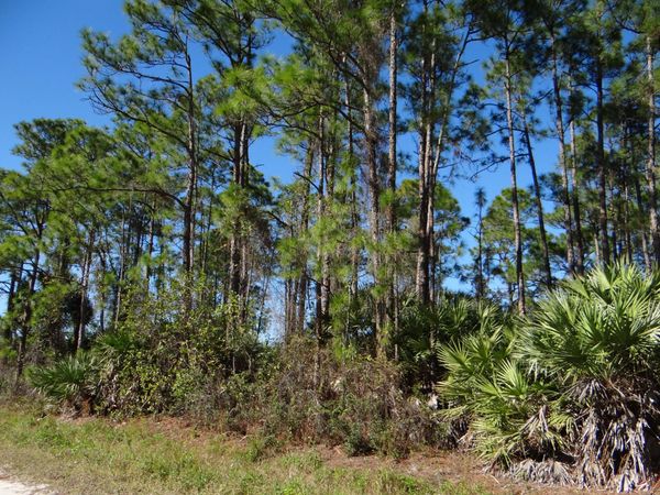 L-28 N 67 Court N, The Acreage, FL 33470