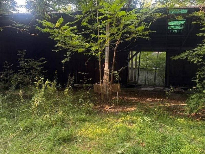 651 Crawford Toms Run Road, New Lebanon, OH 45345 Photo 6