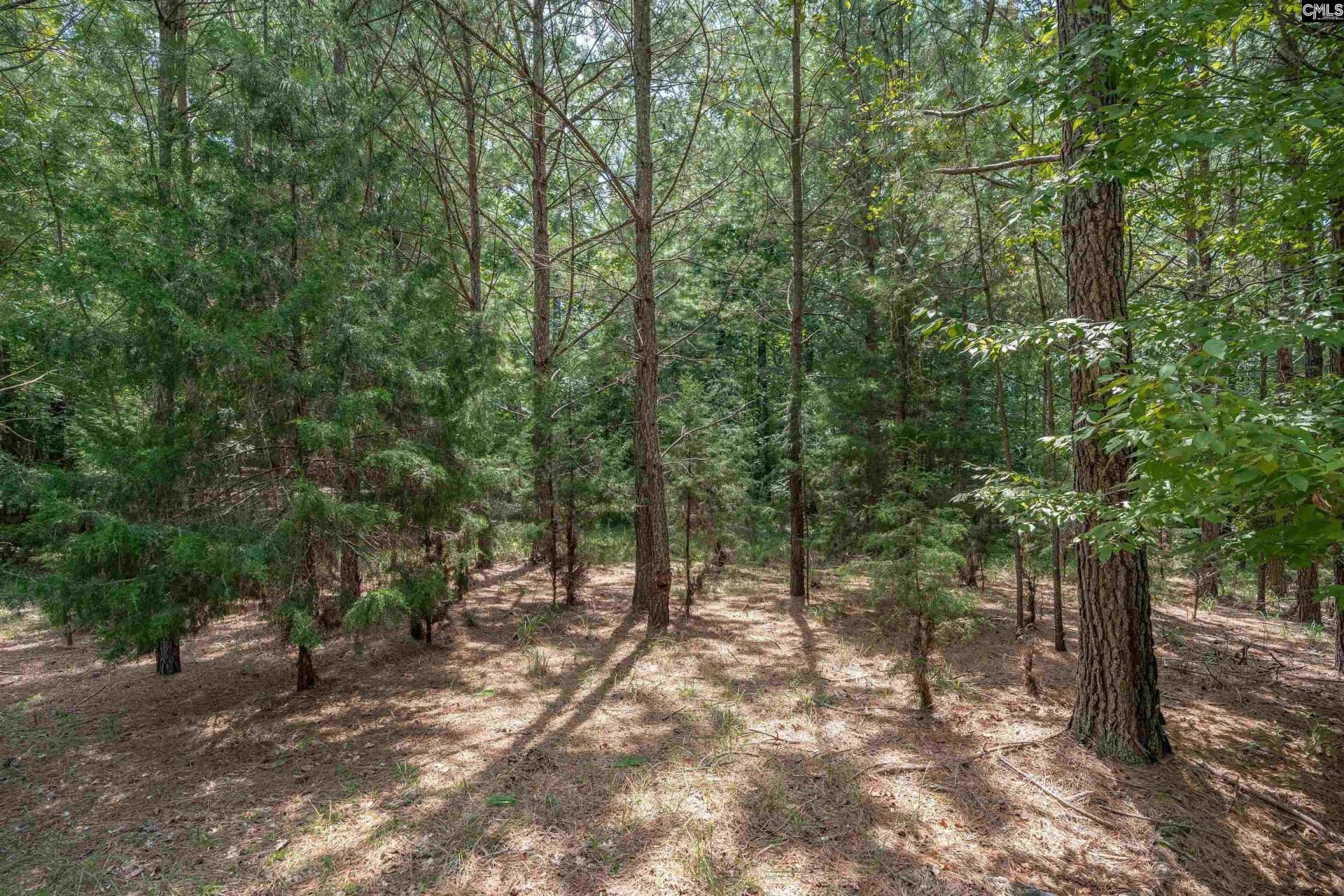 231 Tortoise Trail Photo 4