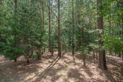 231 Tortoise Trail photo 4