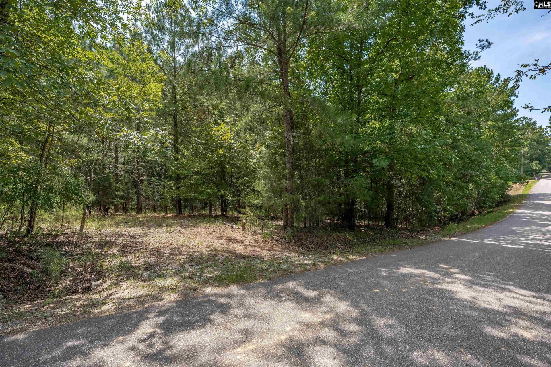 231 Tortoise Trail Photo 5