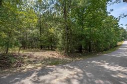 231 Tortoise Trail photo 4