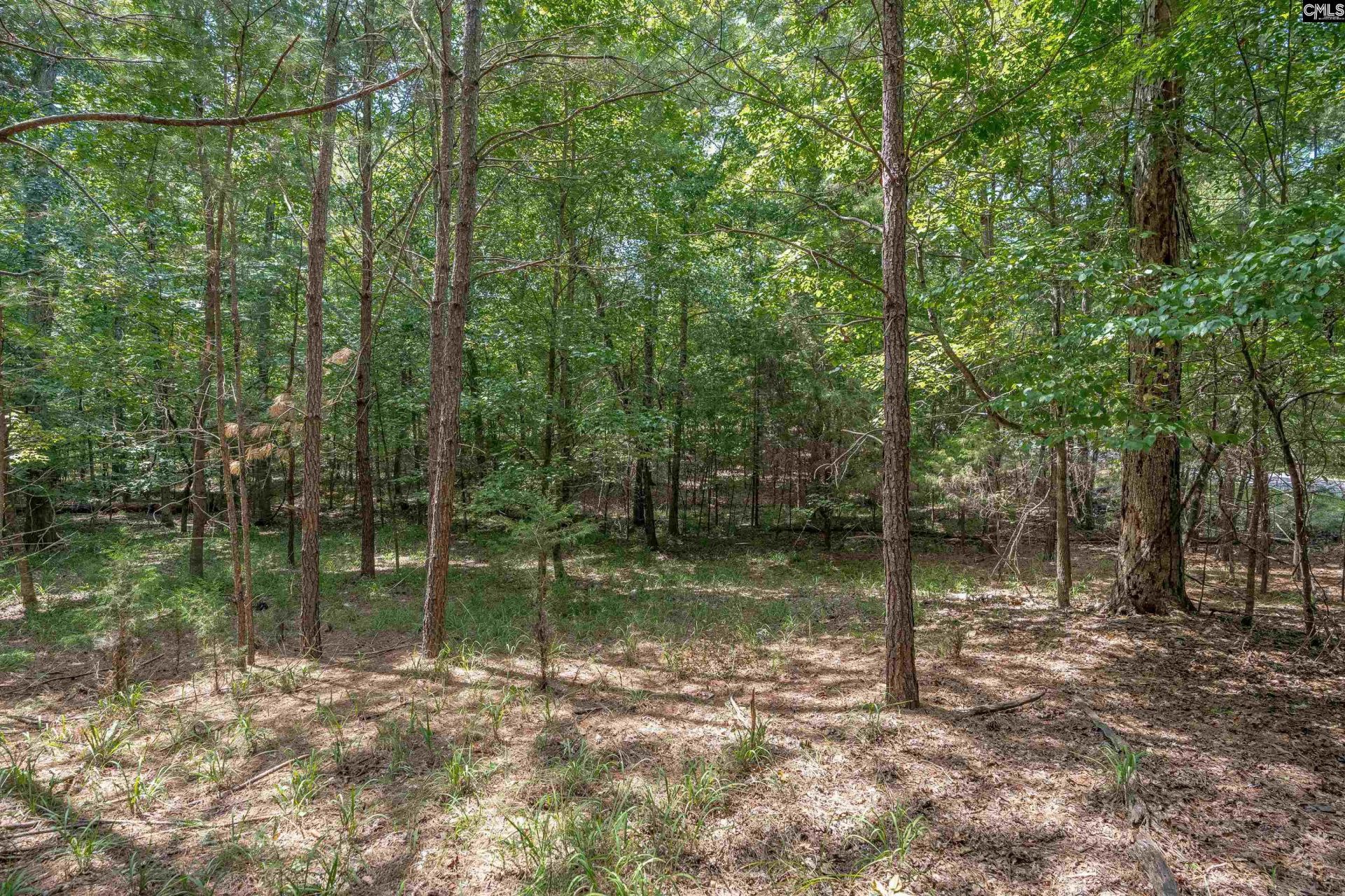 231 Tortoise Trail Photo 6
