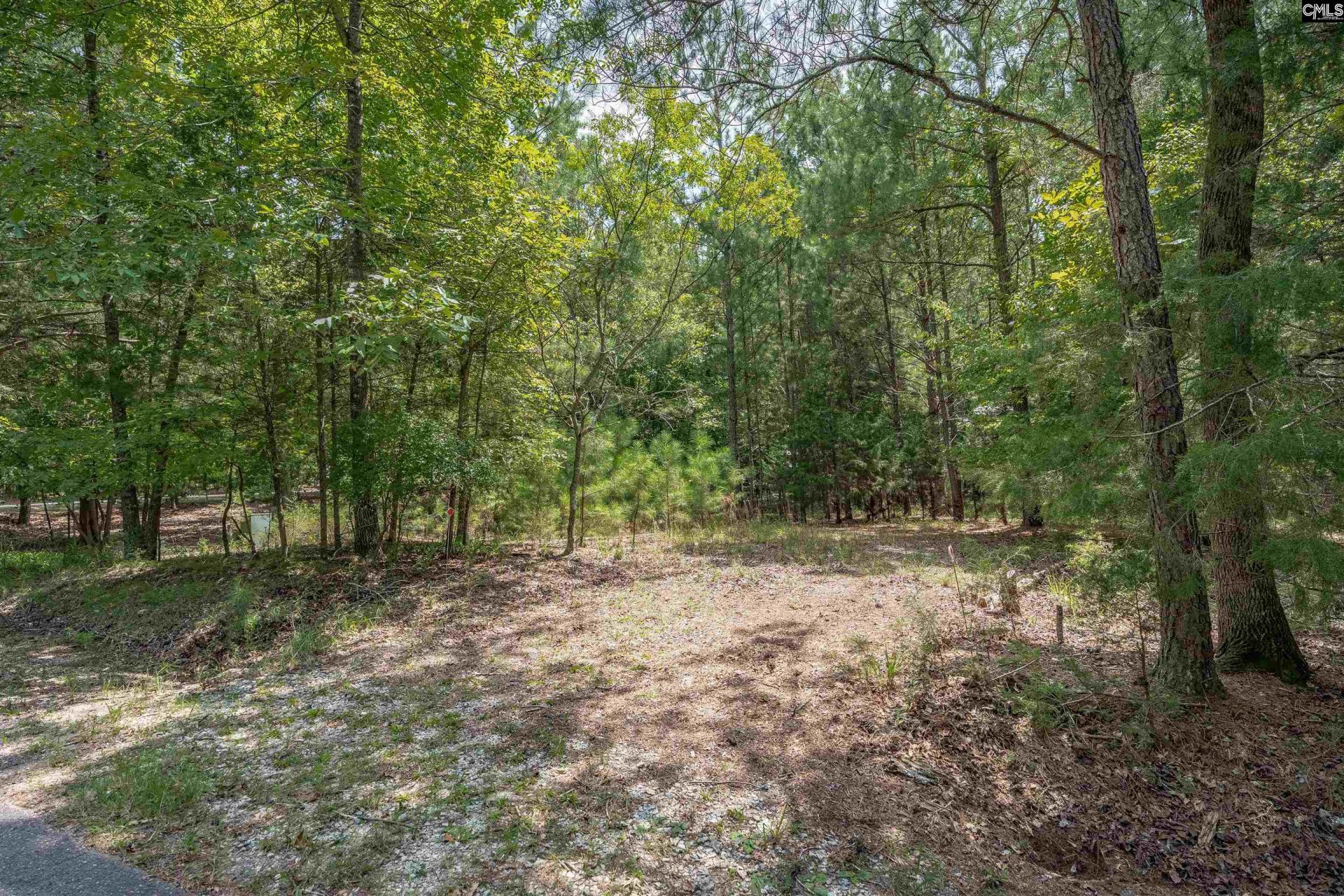 231 Tortoise Trail Photo 7