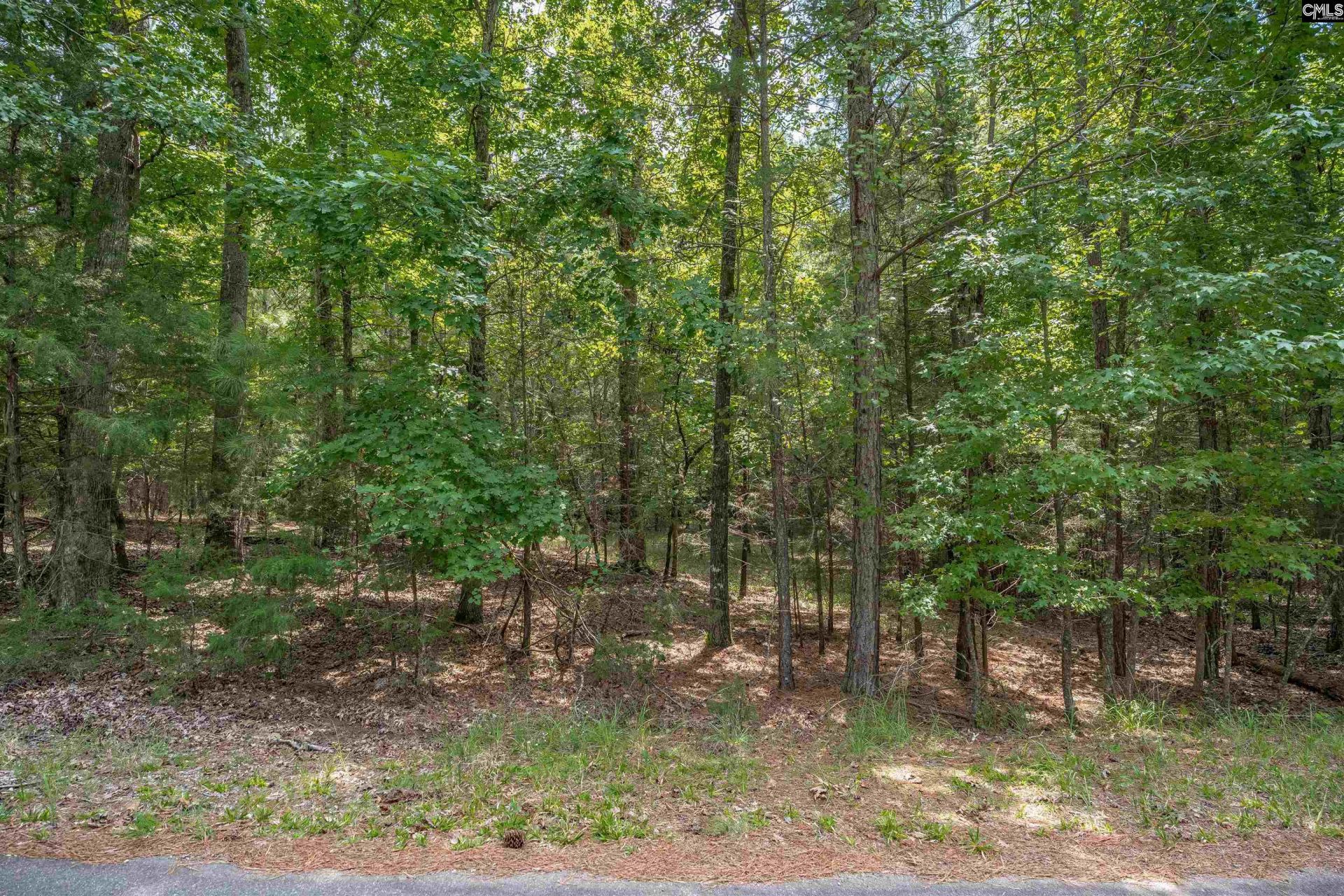 231 Tortoise Trail Photo 8