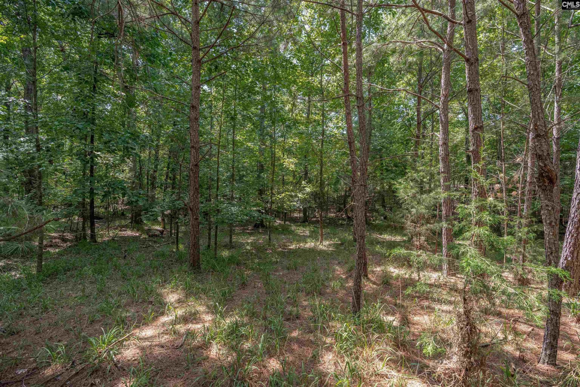 231 Tortoise Trail Photo 9