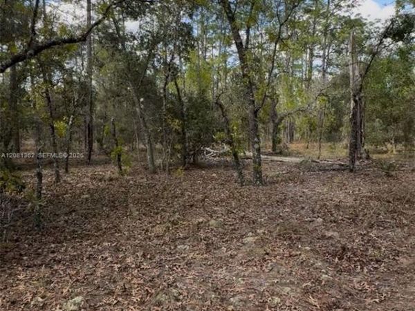 SW SW INDIAN HILL DR , Ocala, FL 34431