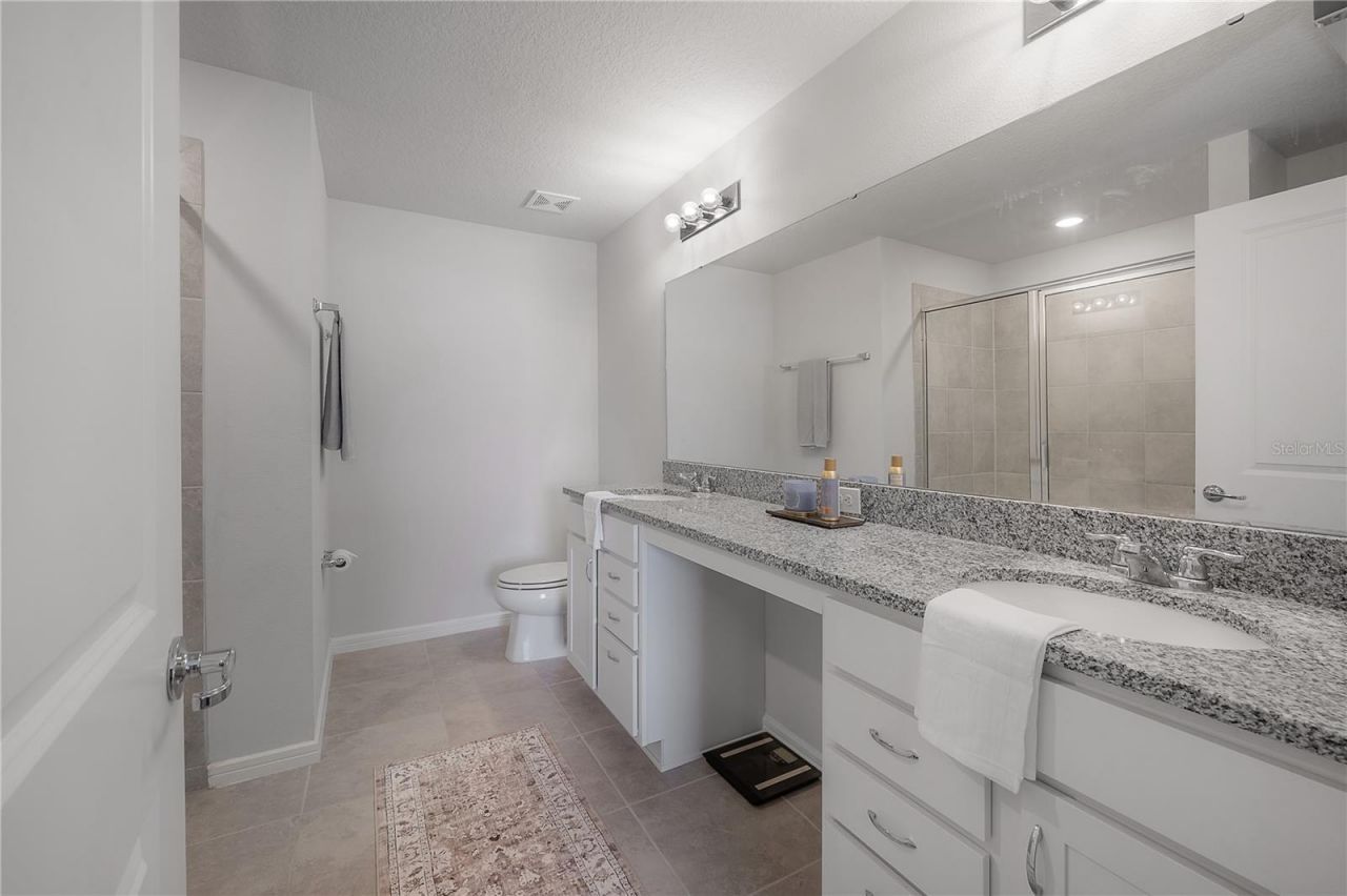 31428 Amberview Bend , Wesley Chapel, FL 33545 Photo
