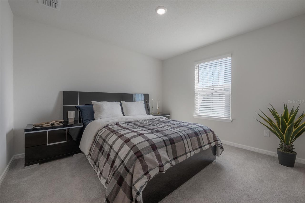 31428 Amberview Bend , Wesley Chapel, FL 33545 Photo