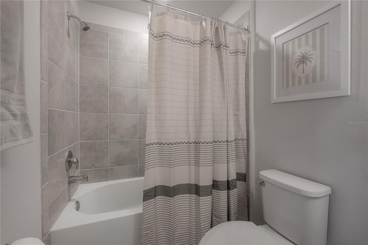 31428 Amberview Bend , Wesley Chapel, FL 33545 Photo