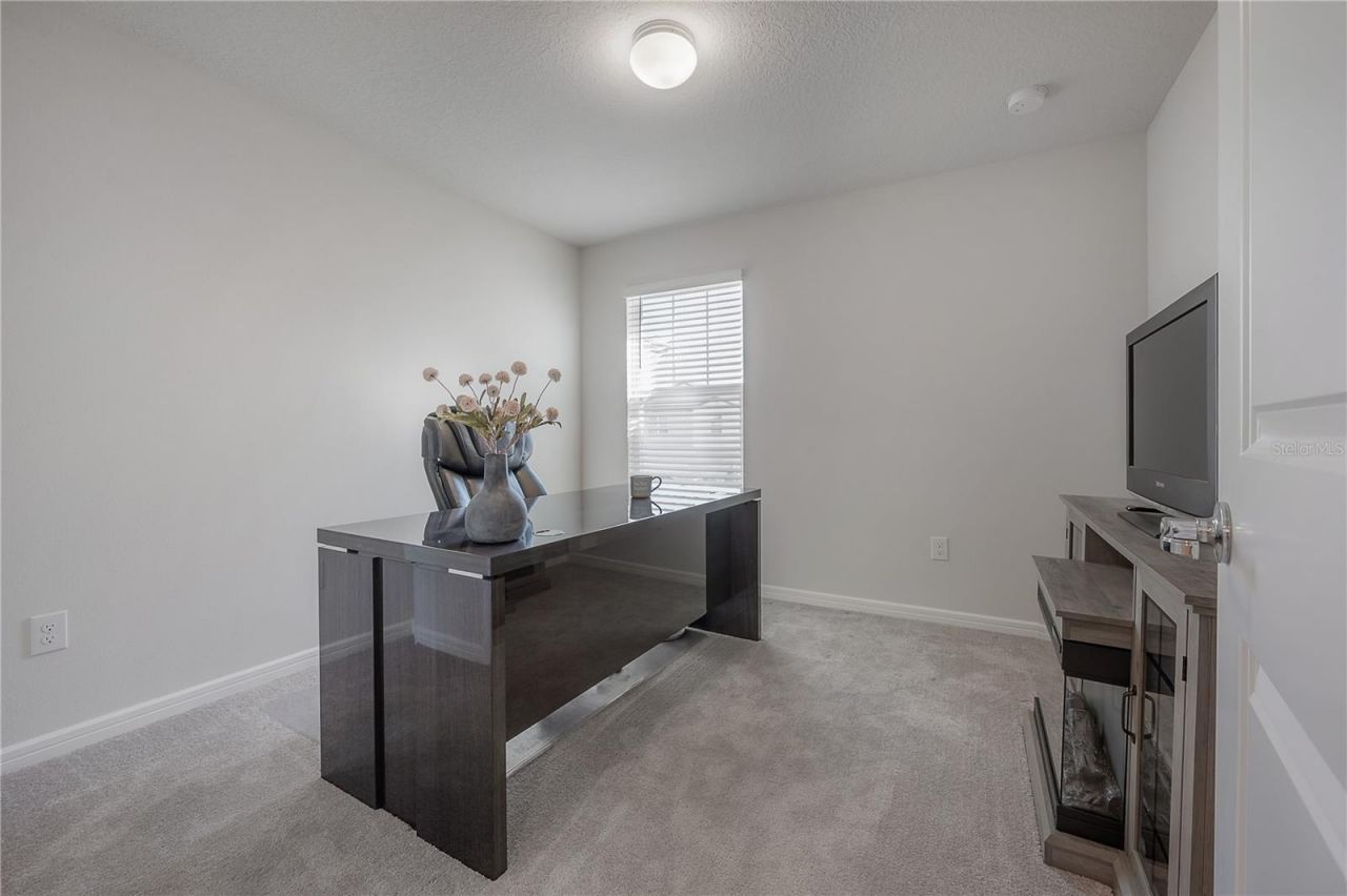 31428 Amberview Bend , Wesley Chapel, FL 33545 Photo