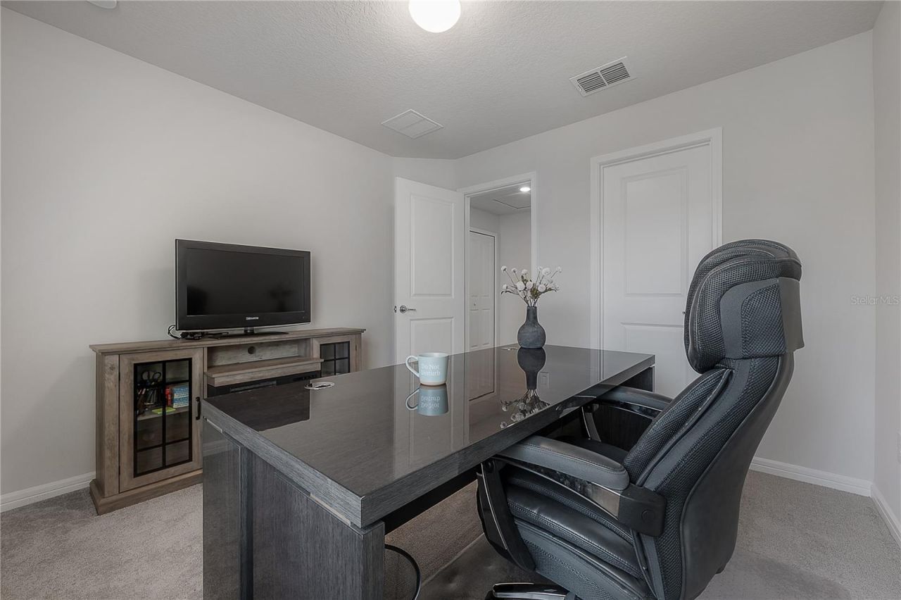 31428 Amberview Bend , Wesley Chapel, FL 33545 Photo