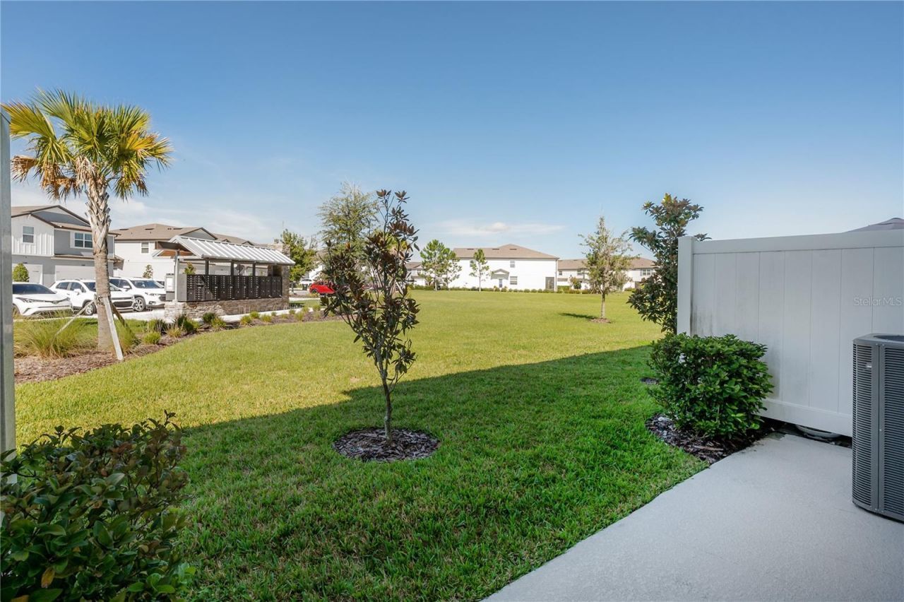 31428 Amberview Bend , Wesley Chapel, FL 33545 Photo
