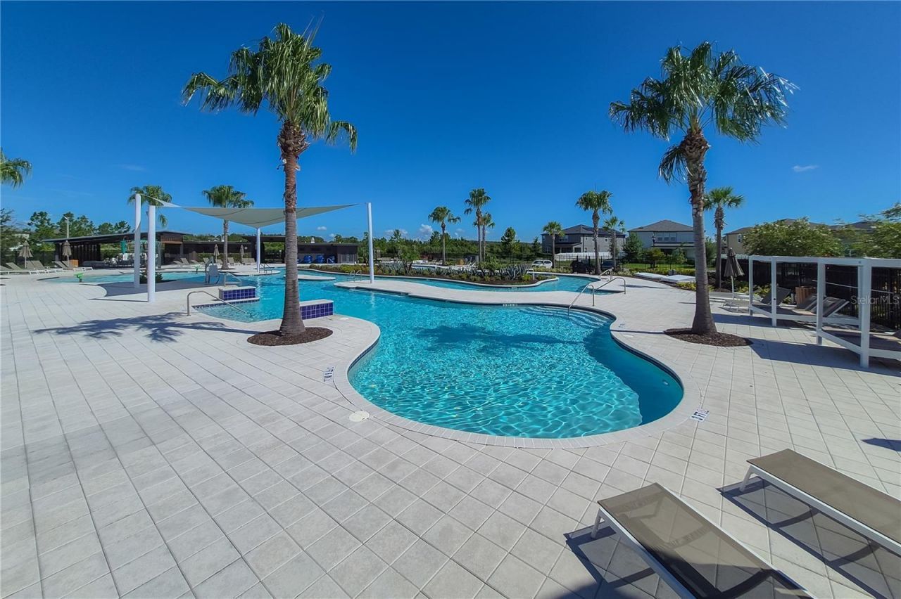 31428 Amberview Bend , Wesley Chapel, FL 33545 Photo