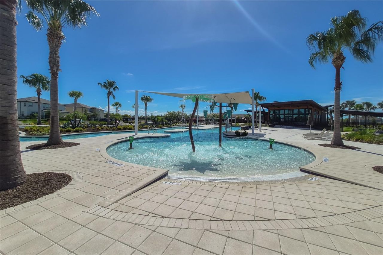 31428 Amberview Bend , Wesley Chapel, FL 33545 Photo