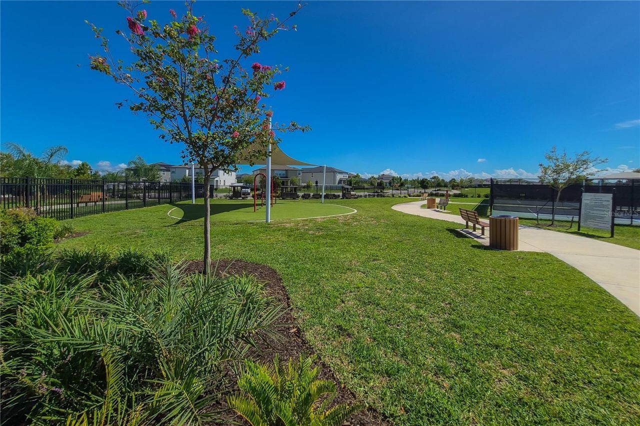 31428 Amberview Bend , Wesley Chapel, FL 33545 Photo