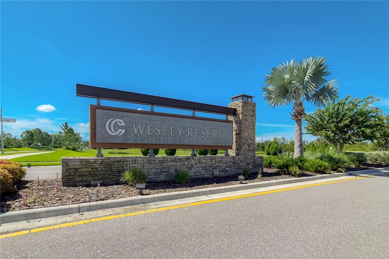 31428 Amberview Bend , Wesley Chapel, FL 33545 Photo
