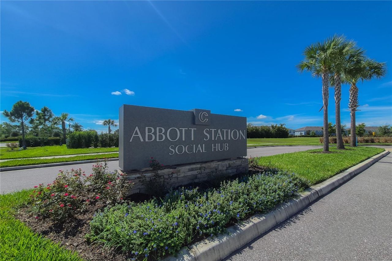 31428 Amberview Bend , Wesley Chapel, FL 33545 Photo