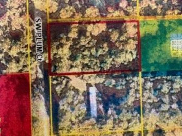 LOT 4 SW PLUMB CT, Fort White, FL 32038