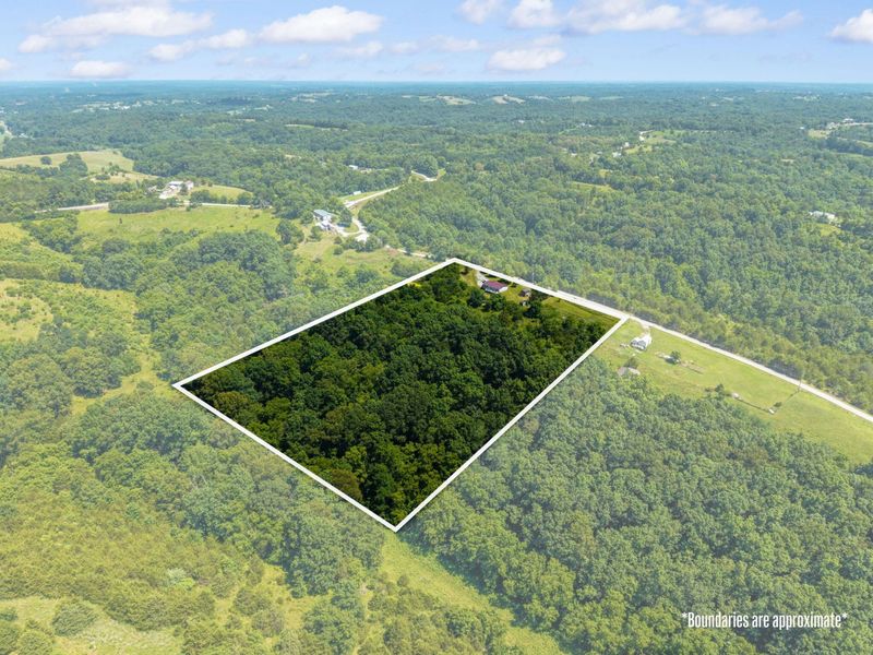 4389 Snake Lick Road, Berry, KY 41003 Photo 1