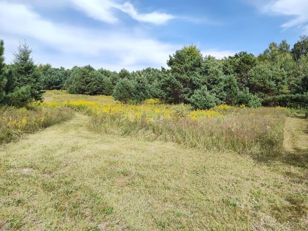 LOT 2 211th Street, Centuria, WI 54824
