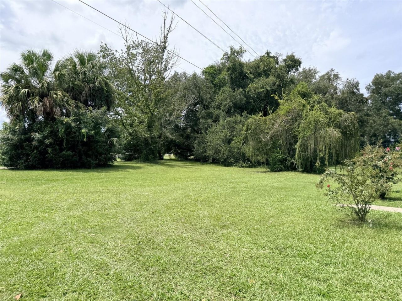 230 E Rodgers Boulevard , Chiefland, FL 32626 Photo