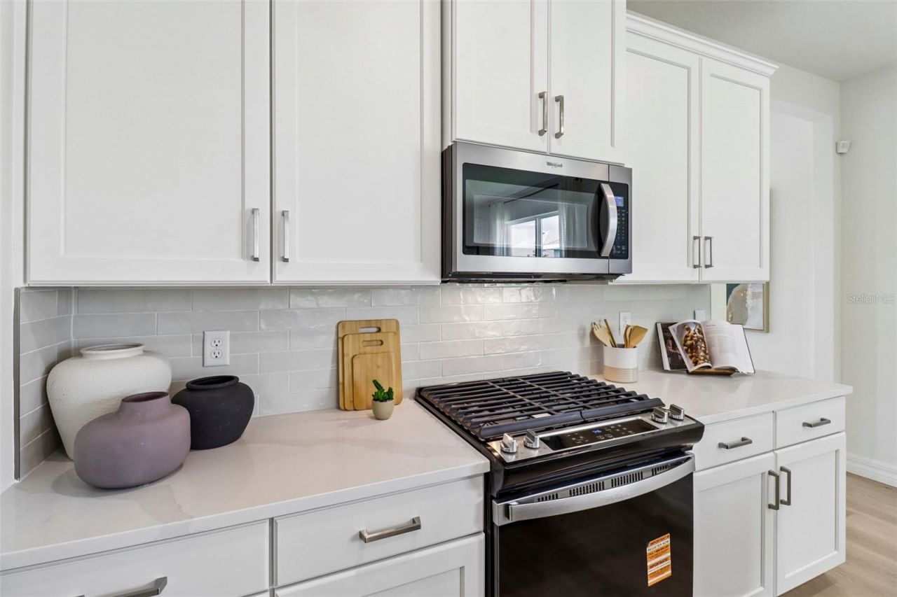 3945 Kennebunk Loop, Mount Dora, FL 32757 Photo