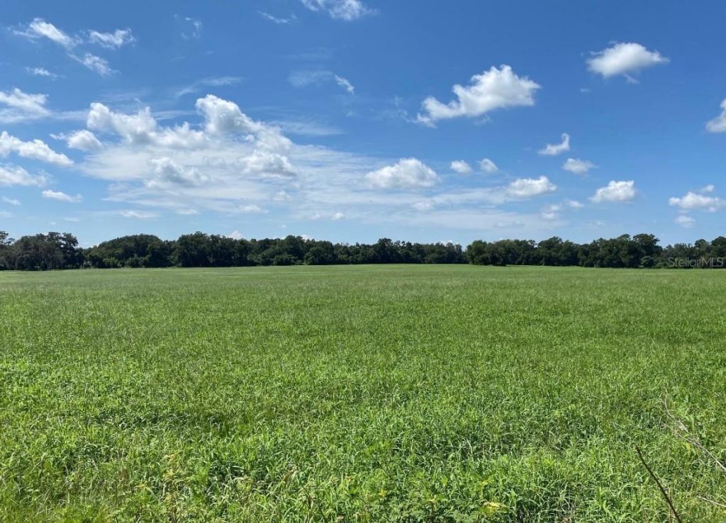 3650 NE 95th Street, Anthony, FL 32617 Photo