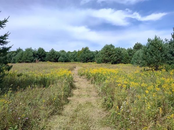 Lot 2 211th Street, Centuria, WI 54824