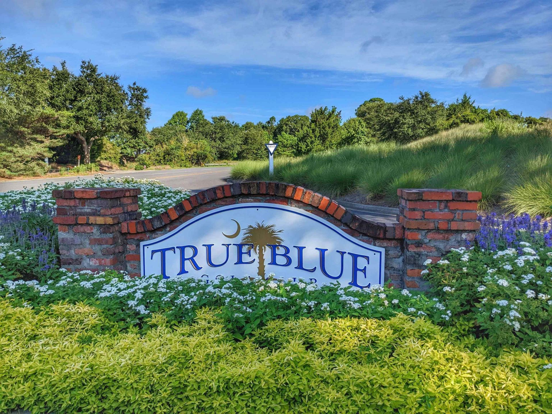 549 Blue Stem Dr. Photo 48