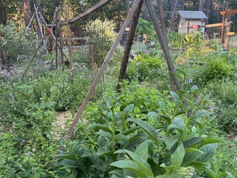Property Image 6