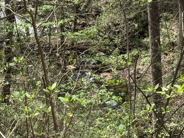 0 Laurel Branch, Dawsonville, GA 30540