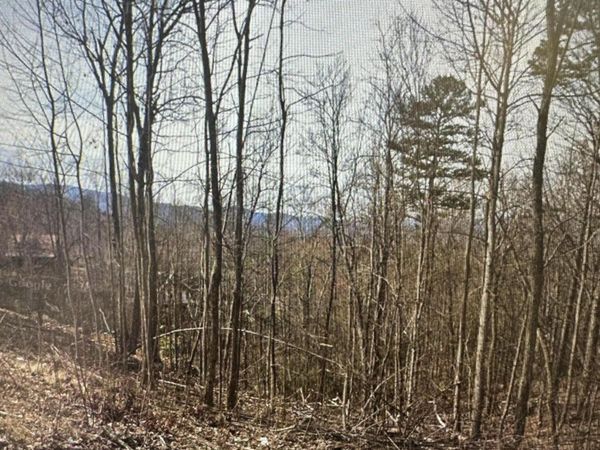 1921 Battle Top Road , Unit 665, Sevierville, TN 37876