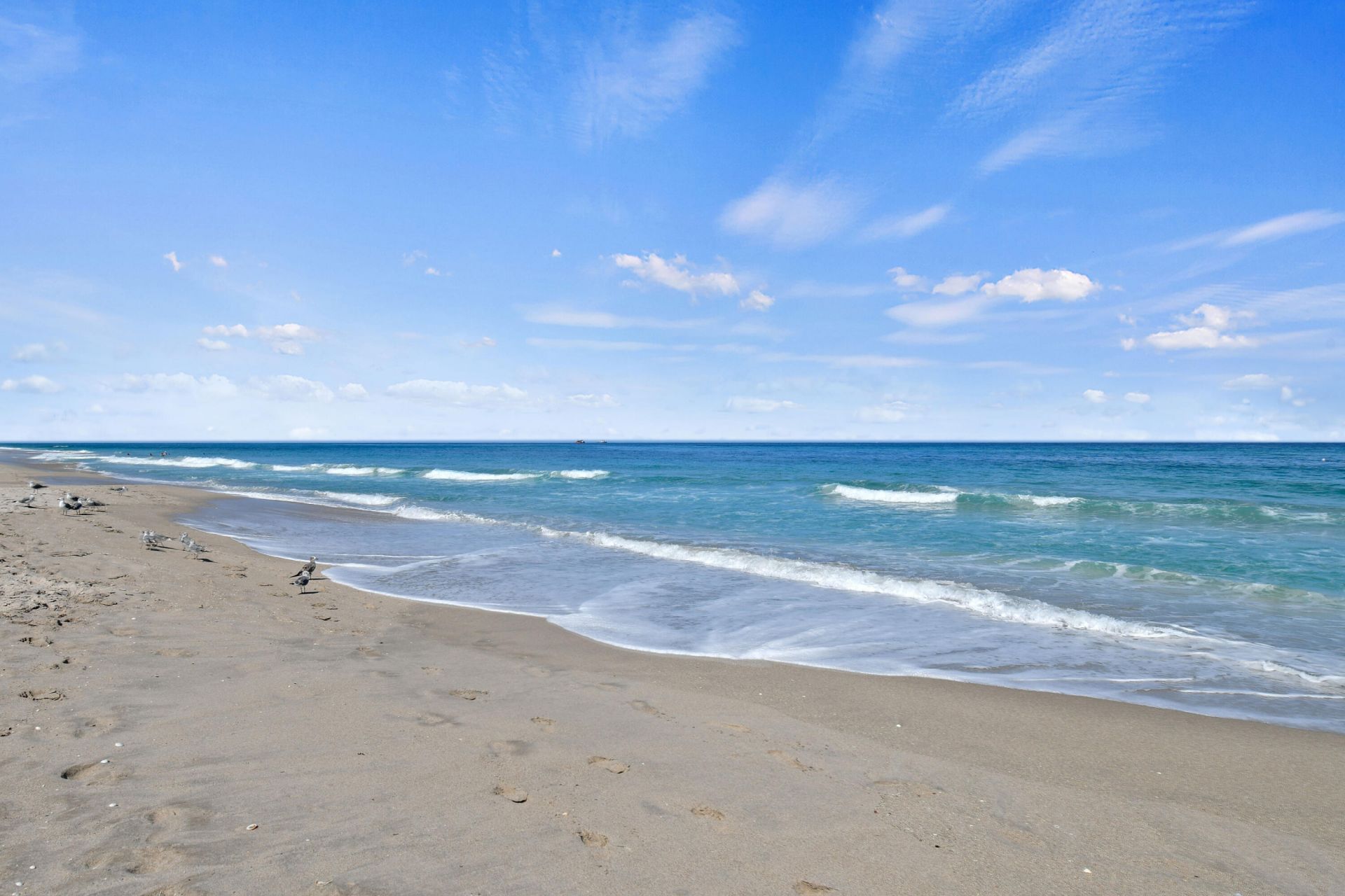 3000 N Ocean Drive, Unit 8A, Singer Island, FL 33404 Photo