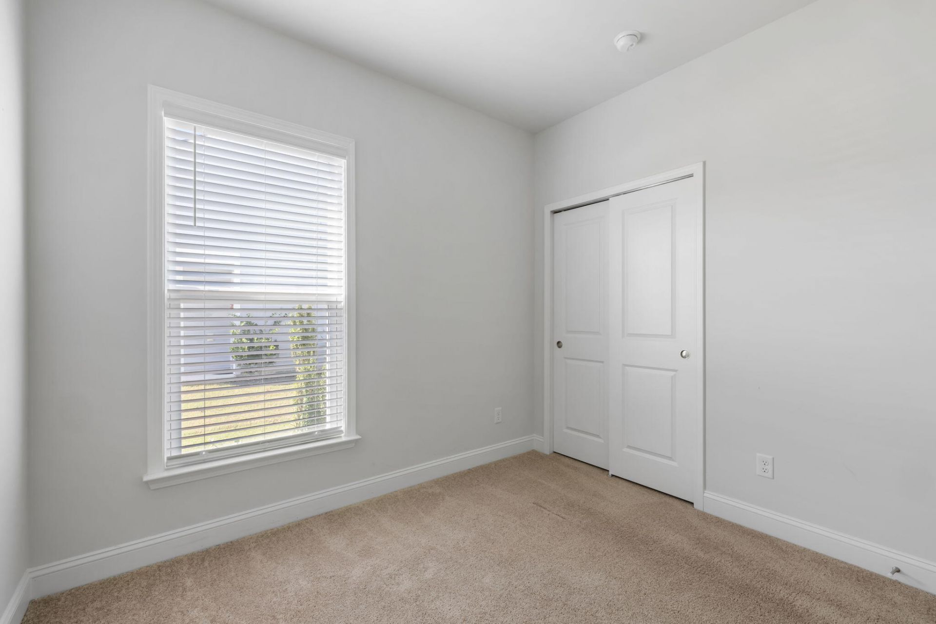 446 Switchgrass Drive Photo 13