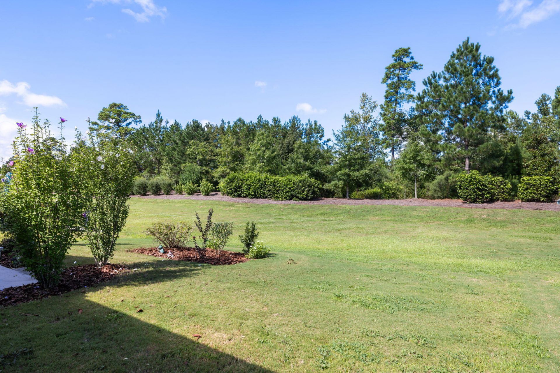 446 Switchgrass Drive Photo 9