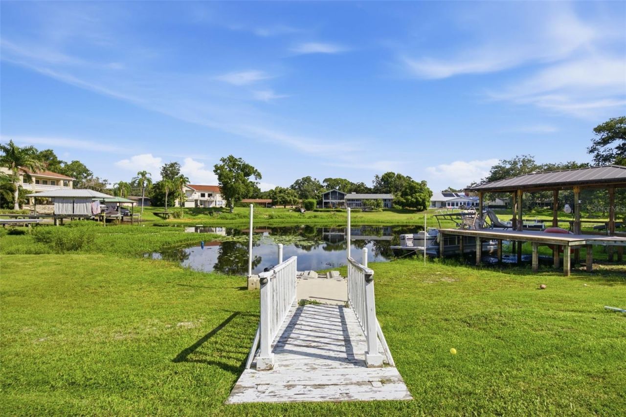 10715 Carrollwood Drive, Tampa, FL 33618 Photo