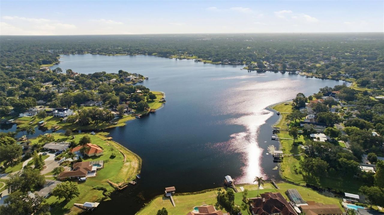 10715 Carrollwood Drive, Tampa, FL 33618 Photo