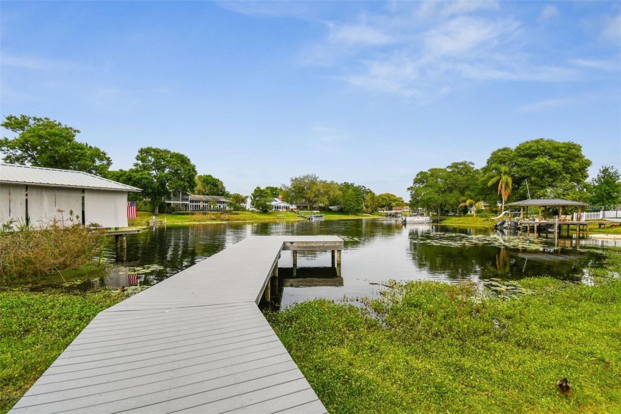 10715 Carrollwood Drive, Tampa, FL 33618 Photo