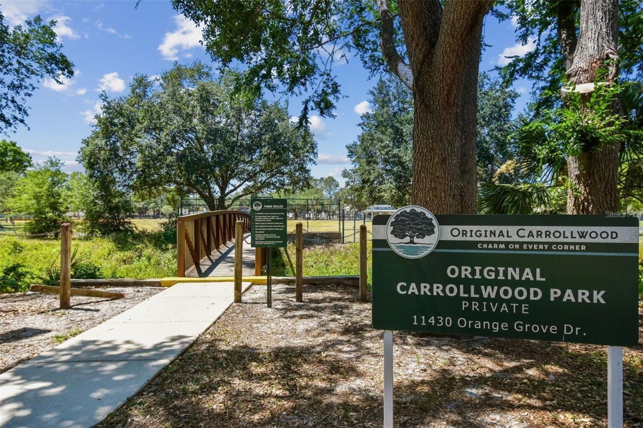 10715 Carrollwood Drive, Tampa, FL 33618 Photo