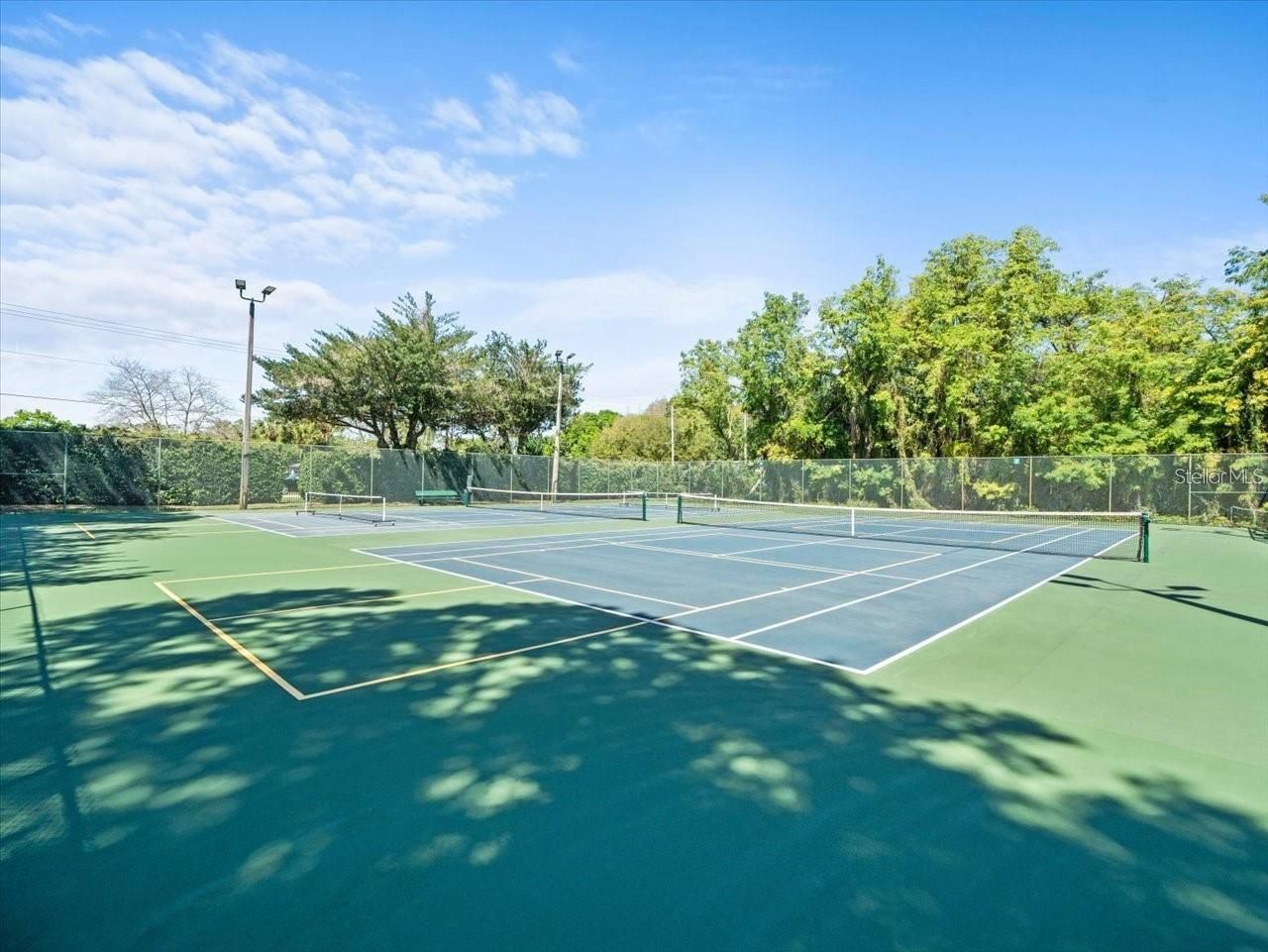 10715 Carrollwood Drive, Tampa, FL 33618 Photo