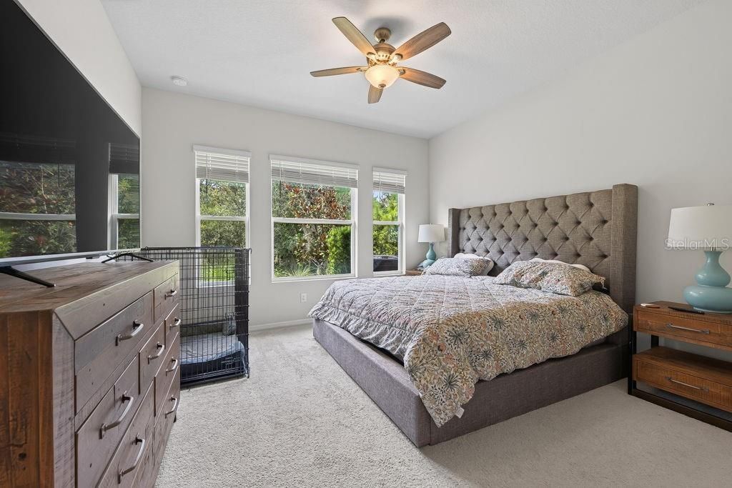 28583 Cozy Creek Drive , Wesley Chapel, FL 33543 Photo