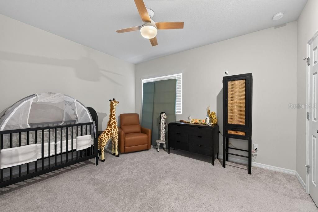28583 Cozy Creek Drive , Wesley Chapel, FL 33543 Photo