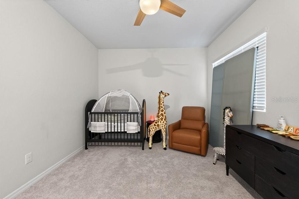 28583 Cozy Creek Drive , Wesley Chapel, FL 33543 Photo