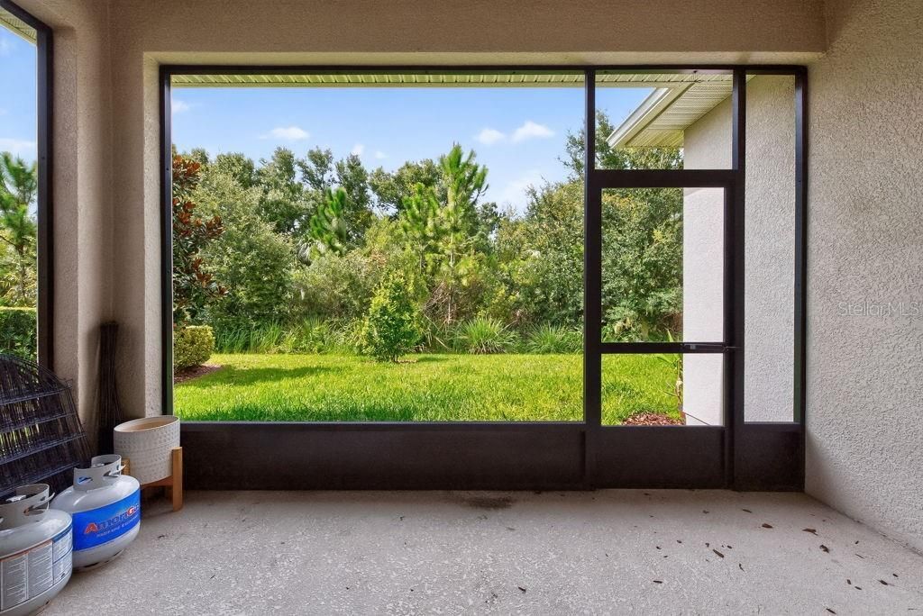 28583 Cozy Creek Drive , Wesley Chapel, FL 33543 Photo