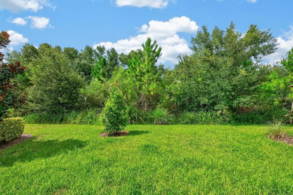 28583 Cozy Creek Drive , Wesley Chapel, FL 33543 Photo