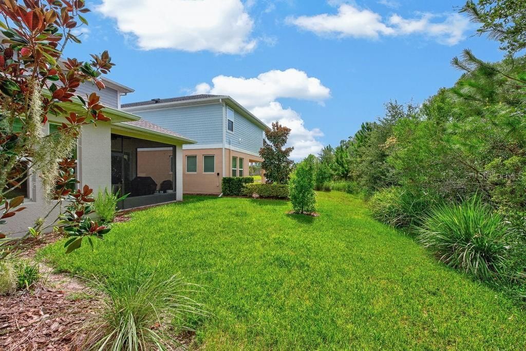 28583 Cozy Creek Drive , Wesley Chapel, FL 33543 Photo